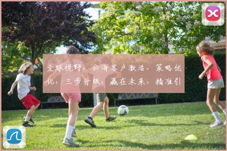 全球视野，公海客户激活，策略优化，三步升级，赢在未来，精准引流，高效转化