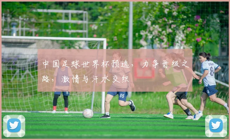 中国足球世界杯预选，力争晋级之路，激情与汗水交织