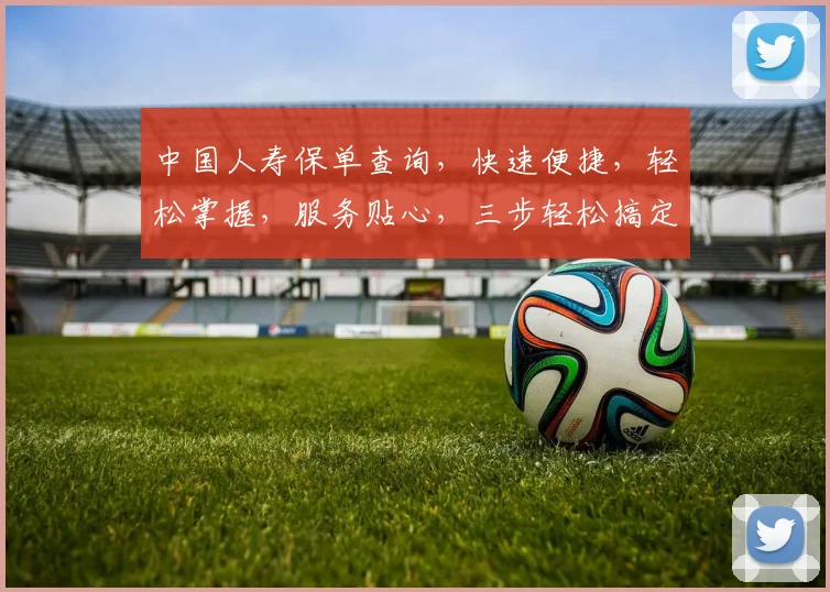 中国人寿保单查询，快速便捷，轻松掌握，服务贴心，三步轻松搞定，一查便知
