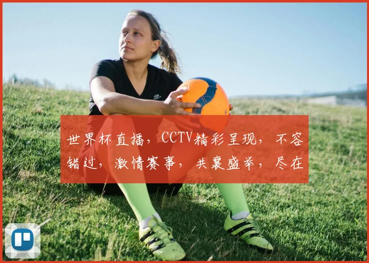 世界杯直播，CCTV精彩呈现，不容错过，激情赛事，共襄盛举，尽在眼前